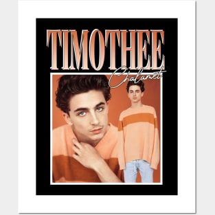 Timothee Chalamet Posters and Art